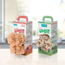 mushroom boxes