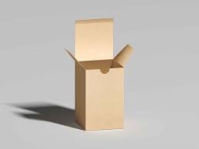 Kraft Tuck Top Boxes